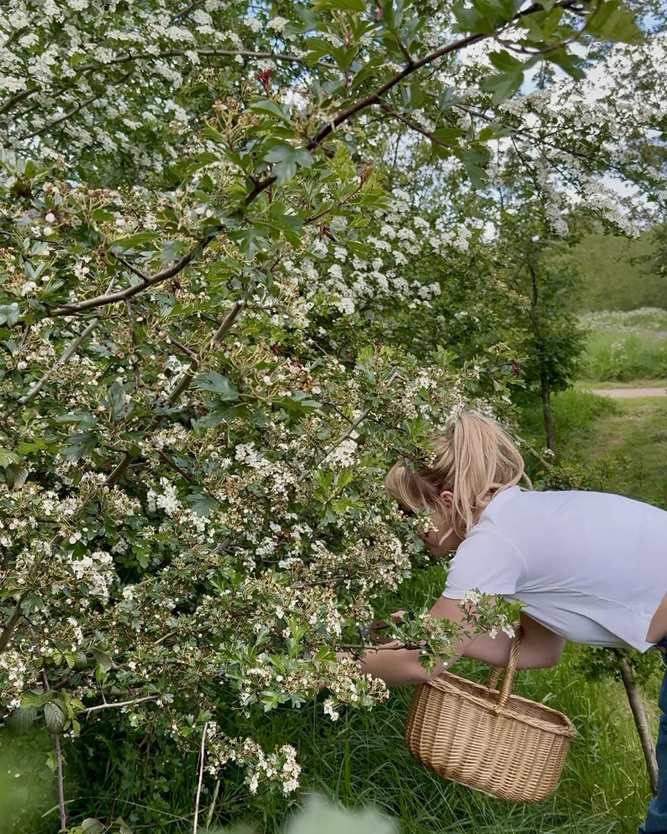 Ellie foraging with a basket beneath a hawthorn tree in blossom